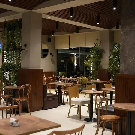 Bluepoint * Tepelenë